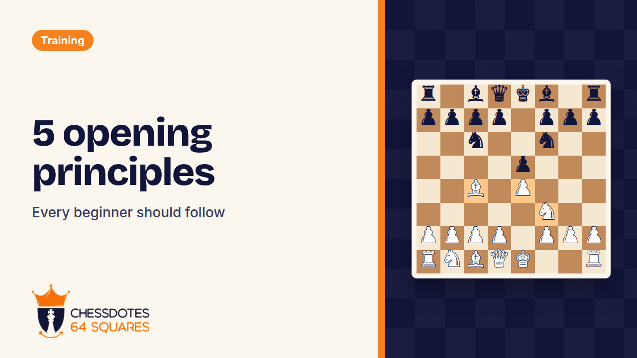5 opening principles every beginner should follow